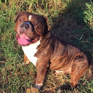 Meet your Posher, Ty